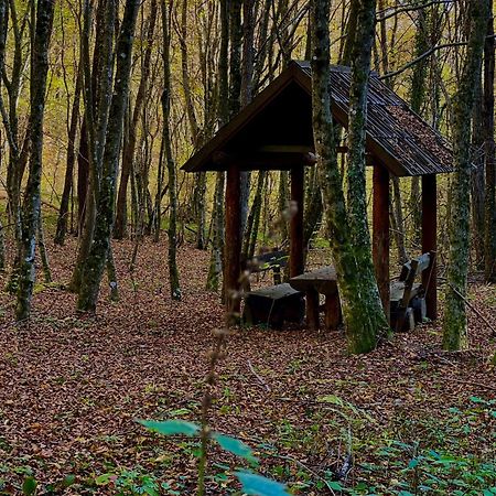 Domacinstvo Una-Ostrovica Kulen Vakuf Exterior photo